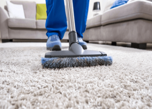 Rug & Carpet Cleaning Twickenham